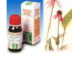 Image of Specchiasol Echinacea 59 Tintura Madre 50 ml
