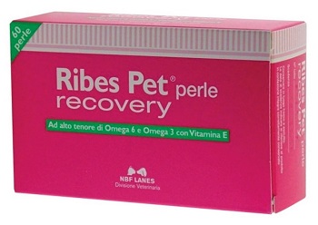 Image of Nbn Lanes Ribes Pet Recovery Integratore Dermatite Cani E Gatti 60 Perle