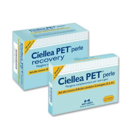 Image of CIELLEA Pet 60 Perle