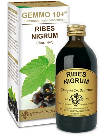 Image of Dr. Giorgini Gemmo 10+ Ribes Nero Liquido Analcoolico 200 ml