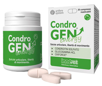 Image of CONDROGEN ENERGY 30CPR MASTIC