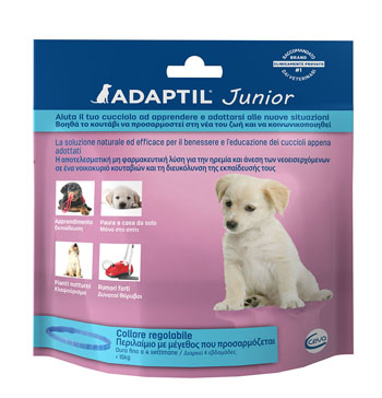 Image of ADAPTIL Collare Junior