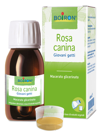 Image of BO.ROSA CANINA MG I 60ml