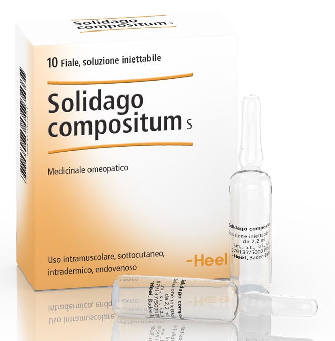 Image of Guna-Heel Solidago Compositum S Medicinale Omeopatico 10 Fiale
