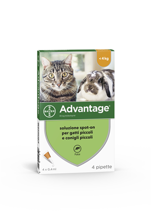 Image of Advantage 40 mg Soluzione Antiparassitaria Spot-On Gatti e Conigli 4 Pipette
